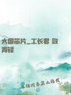 大国芯片